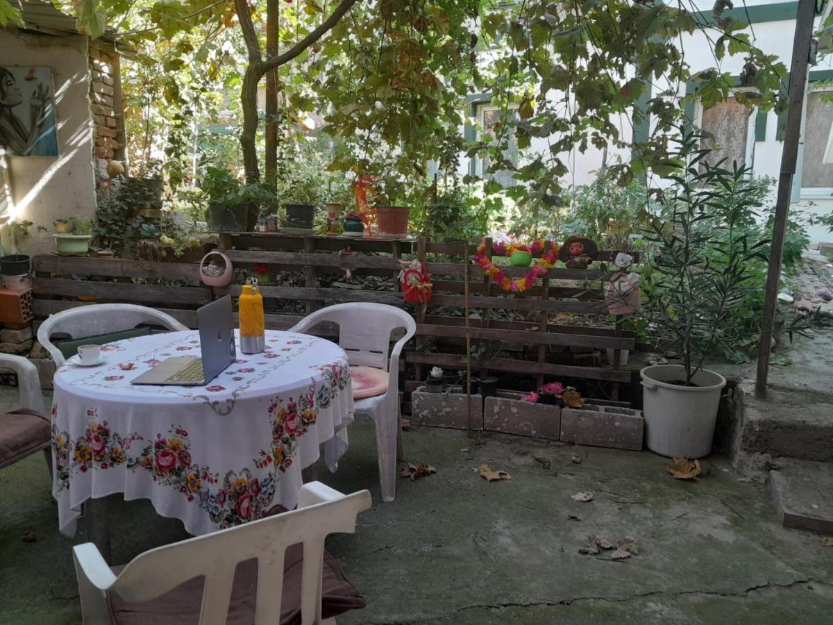 Adem'S Cozy Terrace Retreat Bed & Breakfast Skopje Ngoại thất bức ảnh