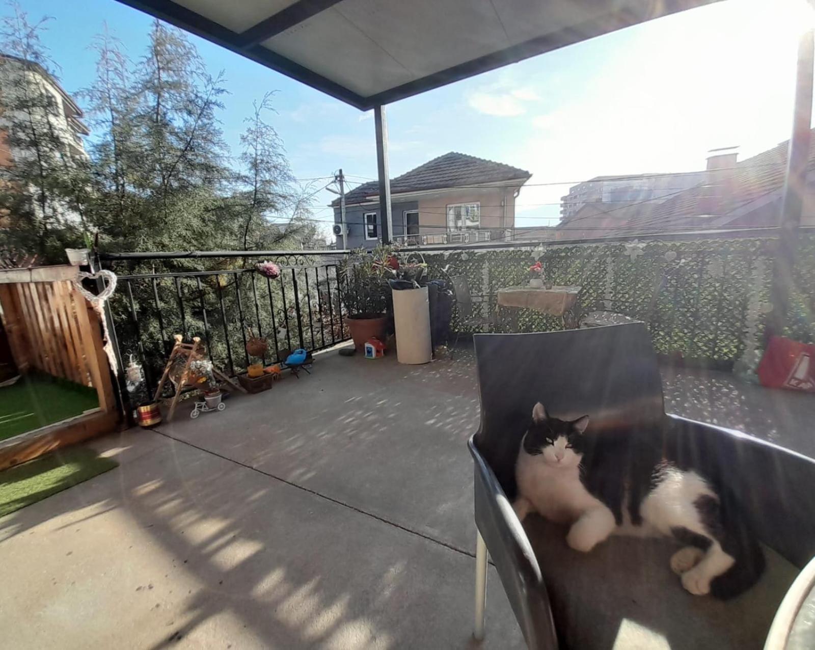Adem'S Cozy Terrace Retreat Bed & Breakfast Skopje Ngoại thất bức ảnh