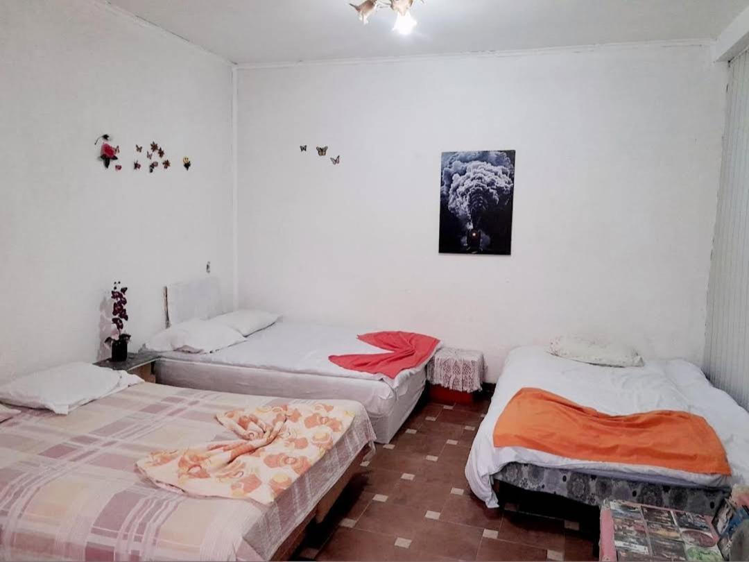 Adem'S Cozy Terrace Retreat Bed & Breakfast Skopje Ngoại thất bức ảnh